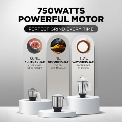 Preethi Mixer Grinder - Popular 750 Watts